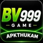 BV999 Game